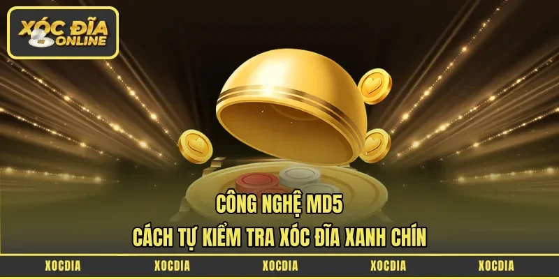 công nghệ MD5